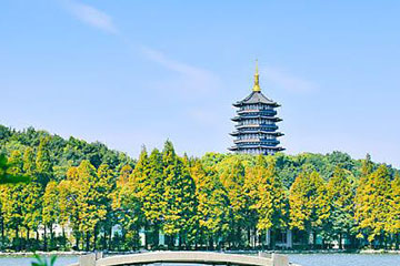杭州市民卡回收全攻略：了解回收可能性及详细回收步骤